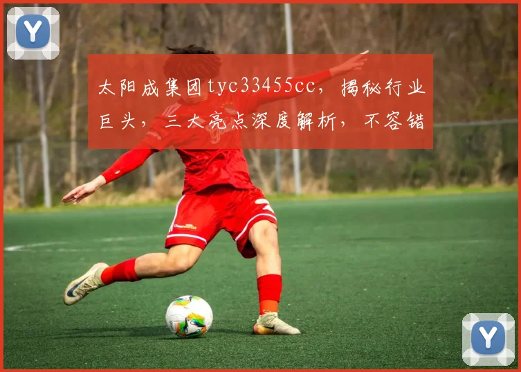 太阳成集团tyc33455cc，揭秘行业巨头，三大亮点深度解析，不容错过