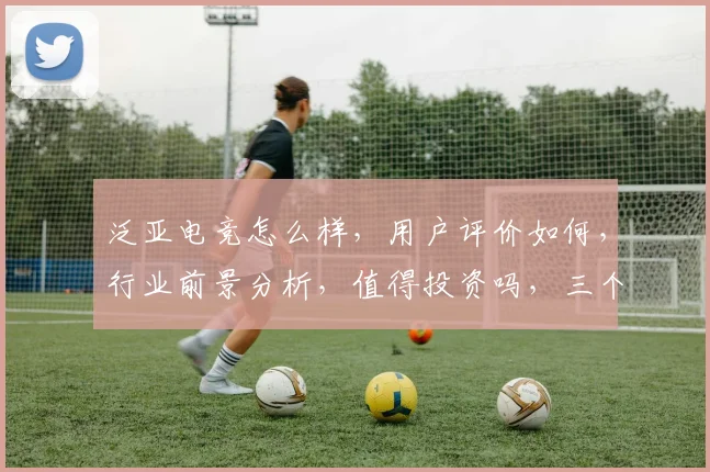 泛亚电竞怎么样，用户评价如何，行业前景分析，值得投资吗，三个维度深度解析。