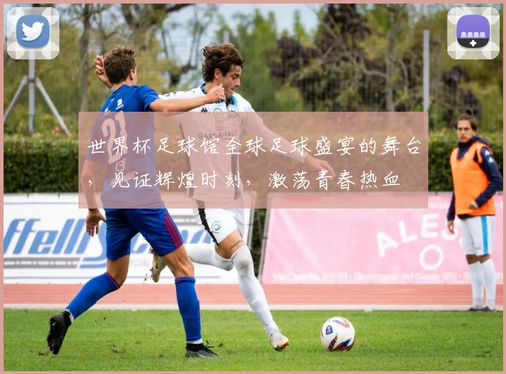 世界杯足球馆全球足球盛宴的舞台，见证辉煌时刻，激荡青春热血